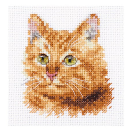 ANIMAL PORTRAITS. GINGER CAT