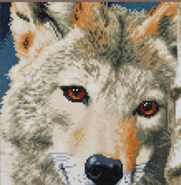 Diamond painting kit Wolf - Lanarte - PN-0184321
