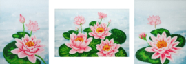 KRALEN BORDUURPAKKET - Water Lily - Waterlelies - 0985