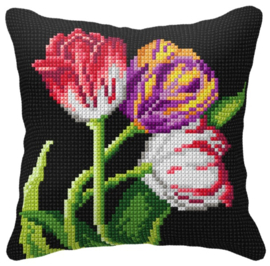99105 KRUISSTEEK KUSSEN ORCHIDEA - Tulpen