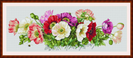 POPPIES (33)