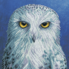 Borduurpakket - Rachel Froud - Wisdom - Bothy Threads
