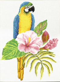 VOORBEDRUKT BORDUURPAKKET HIBISCUS MACAW - NEEDLEART WORLD