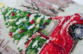 AH-226 Borduurpakket ABRIS ART - Let's Celebrate - Laten we Feesten