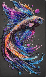 946 - KRALEN BORDUURPAKKET - Waves of Color - Golven van Kleur