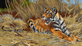3307 - after Wilhelm Kuhnert  - A Tiger - ORCHIDEA 40 x 70 (STRAMIEN)