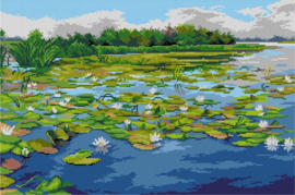 3623 - after Henryk Weyssenhoff - Water Lilies - ORCHIDEA 40 x 60 - (STRAMIEN)