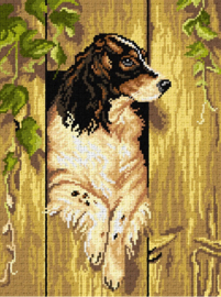 3541 - After Alexander Pope - The Brook Hill Dog -  ORCHIDEA 30 x 40 (STRAMIEN)