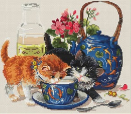 KITTENS & MILK (66)