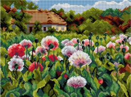 Voorbedrukt stramien - Klaprozenveld - ORCHIDEA 30 x 40