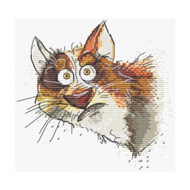 ANE-04 - Emotions.Surprise - Emotie.Verrassing - Andriana