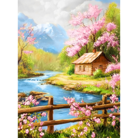 VA850 - DP - Canvas op houten frame - Chalet - 30 x 40 cm