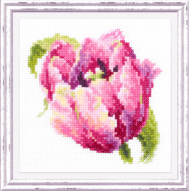 SMALL FLOWER: PINK TULIP