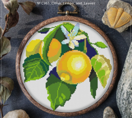 BORDUURPAKKET CITRUS LEMON & LEAVES - C965