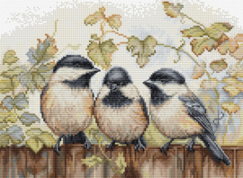 BU5066  Borduurpakket Luca-S - Chickadees on the fench - Musjes op het Hek