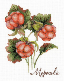 NV-815 A GIFT OF NATURE - CLOUDBERRY (Geschenk van de natuur - Braambes)