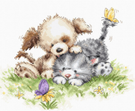B1185 Dog and Cat with Butterfly LUCA-S