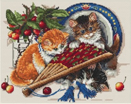 KITTENS & CHERRIES (68)