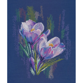 1596 Spring Joy S1596 - OVEN