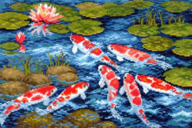 KOI CARPS SANK-23