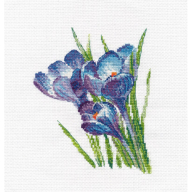 1293 Crocuses S1293 - OVEN