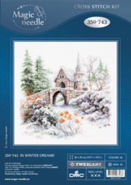 350-743 - In Winter Dreams - Magic Needle