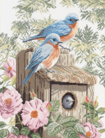 Animals - Blauwe Vogels
