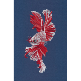 1597 Cockerel Fish S1597 - OVEN