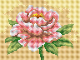 3520 - Peony - ORCHIDEA 18 x 24 (STRAMIEN)