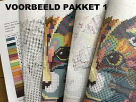 BORDUURPAKKET DUIF - C533