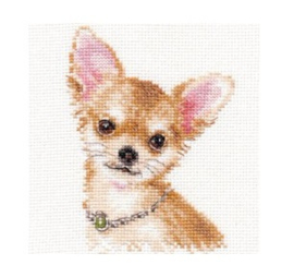 1-30 ANIMAL PORTRAITS. Chihuahua - Alisa