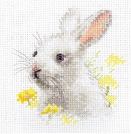 0-226 ANIMAL PORTRAITS. WHITE BUNNY