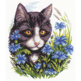 Borduurpakket Cat In Cornflowers - PANNA