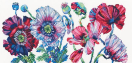 BORDUURPAKKET PURPLE POPPIES - RTO