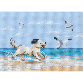 M01108 - Borduurpakket Dog Running on Beach - Hond, rennend op het strand - RTO