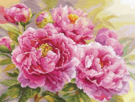 FLOWERS - PEONIES - ALISA