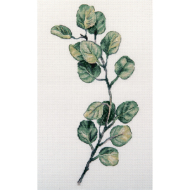 Borduurpakket Eucalyptus Branch - PANNA