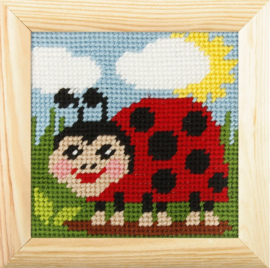 6702 - Borduurpakket voor kind - met lijstje - Orchidea - Lieveheersbeestje