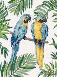 BLUE-AND-YELLOW MACAW S1348 - OVEN