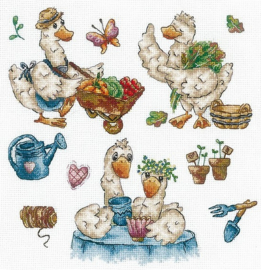 SANS-64 - Sampler. Goose-summer resident - Andriana