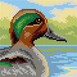 3512 - Teal Duck - ORCHIDEA 15 x 15 (STRAMIEN)