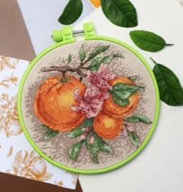 AHM-076 Borduurpakket ABRIS ART - Citrus Notes -  Citrusnoten