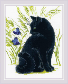 2001 BORDUURPAKKET BLACK CAT - RIOLIS