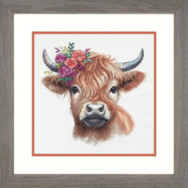 Highland Cow - Dimensions (USA)