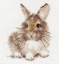 ANIMAL PORTRAITS. RABBIT