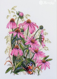 CONEFLOWERS (124)