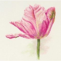 FLOWERS - TULIPS. LIGHT PINK - ALISA