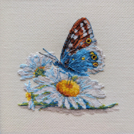 2220  Fragile Beauty - RIOLIS