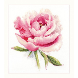 FLOWERS - TENDER PEONY - ALISA