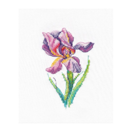 1425 Rainbow Flower S1425 - OVEN